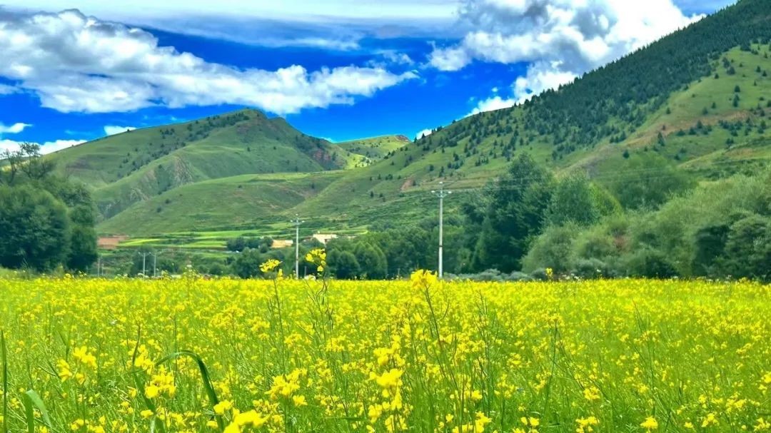 大眾彩票welcome官網(wǎng)網(wǎng)站