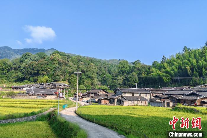 明谿旦上村：打造生態(tài)觀鳥基地助力鄕村振興