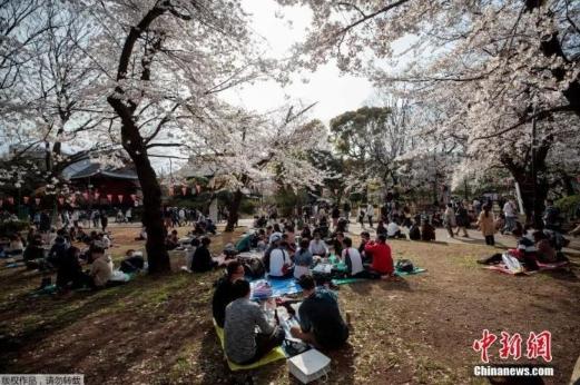 日本連續(xù)15年人口減少，外國人口突破300萬創(chuàng)歷史新高