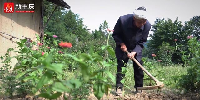 大眾娛樂購彩大廳入口