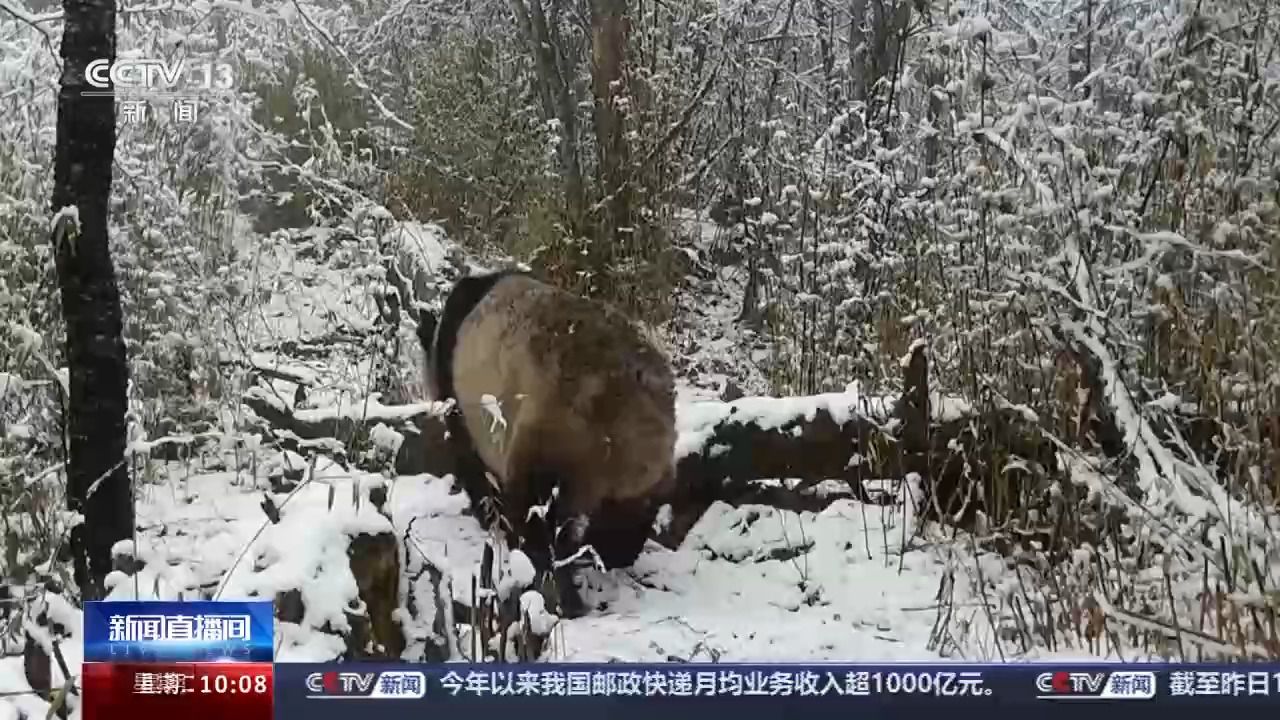 富翁彩票大廳～welcome