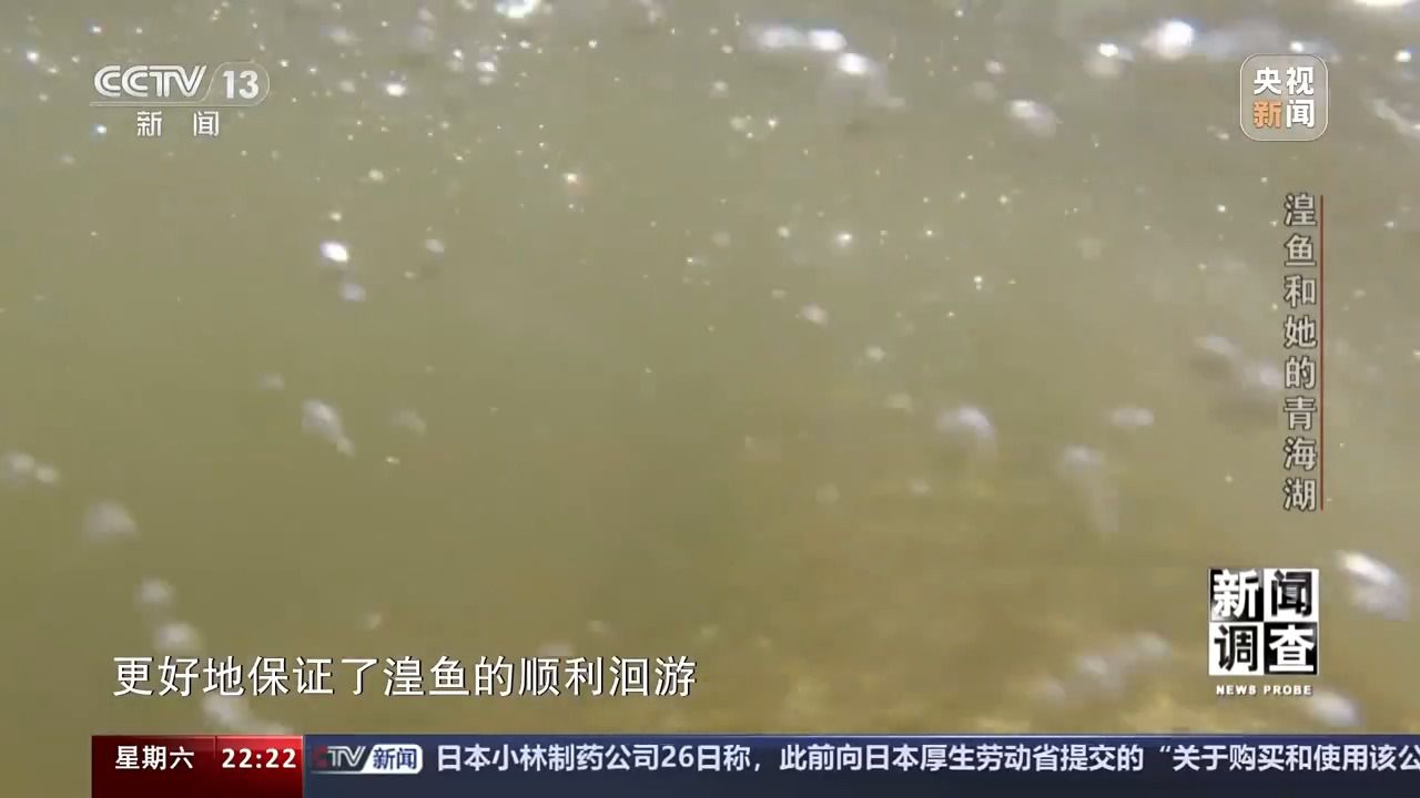 彩神彩票登錄首頁大廳網(wǎng)站