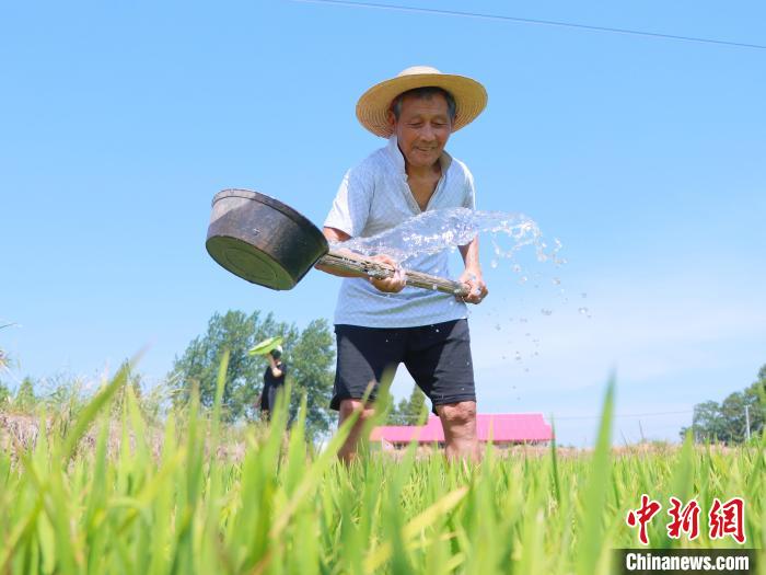 網信彩票