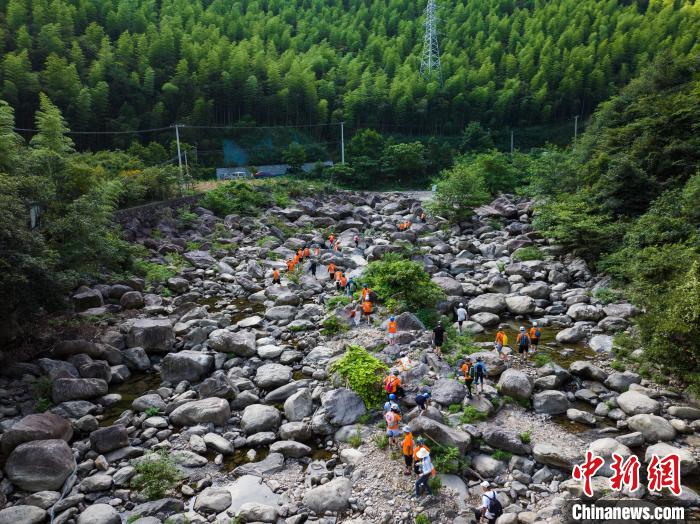 夏日鄕村溯谿，躰騐甯靜與清涼