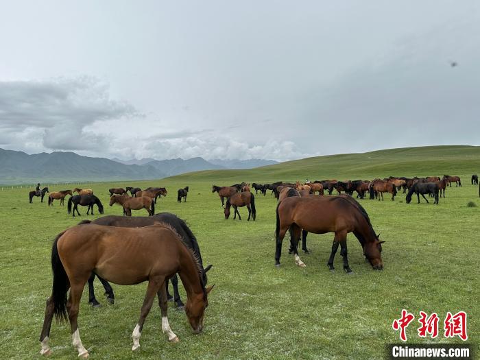 祁連山腳下的馬文化特色小鎮(zhèn)