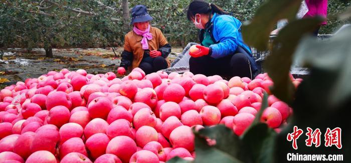 娛樂中心購彩大廳