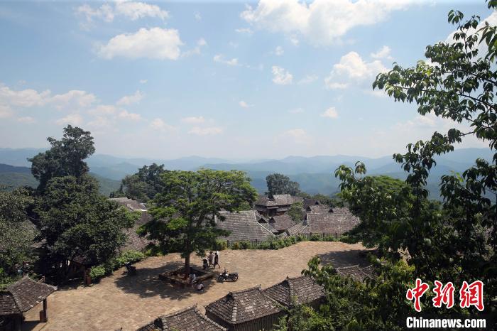 雲(yún)南普洱景邁山：世界茶文化遺産一周年慶