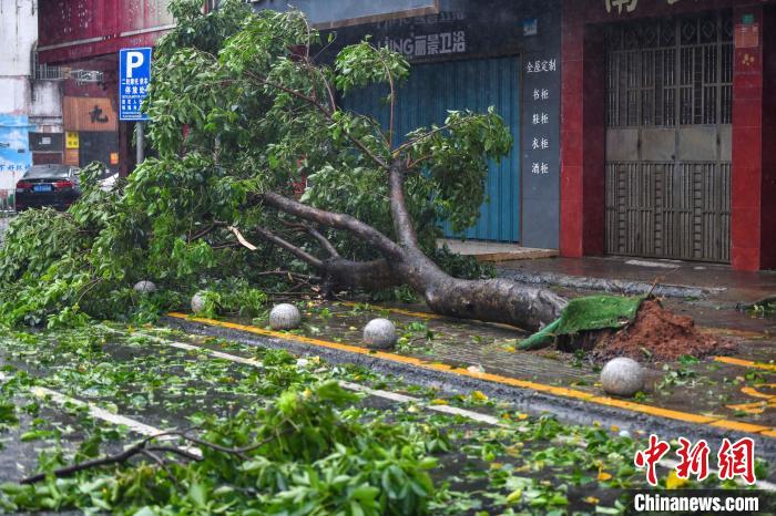 海口市現場情況：超強臺風“摩羯”過境 居民應對風暴恐慌