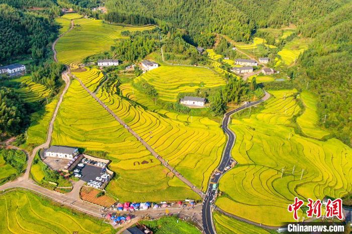 大眾彩票購(gòu)彩登錄入口