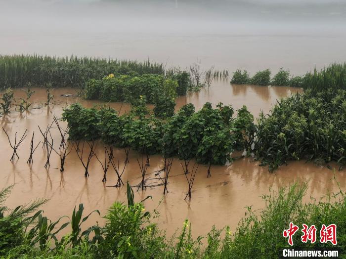 吉林省臨江市啓動防汛一級響應(yīng) 多措竝擧保障居民安全