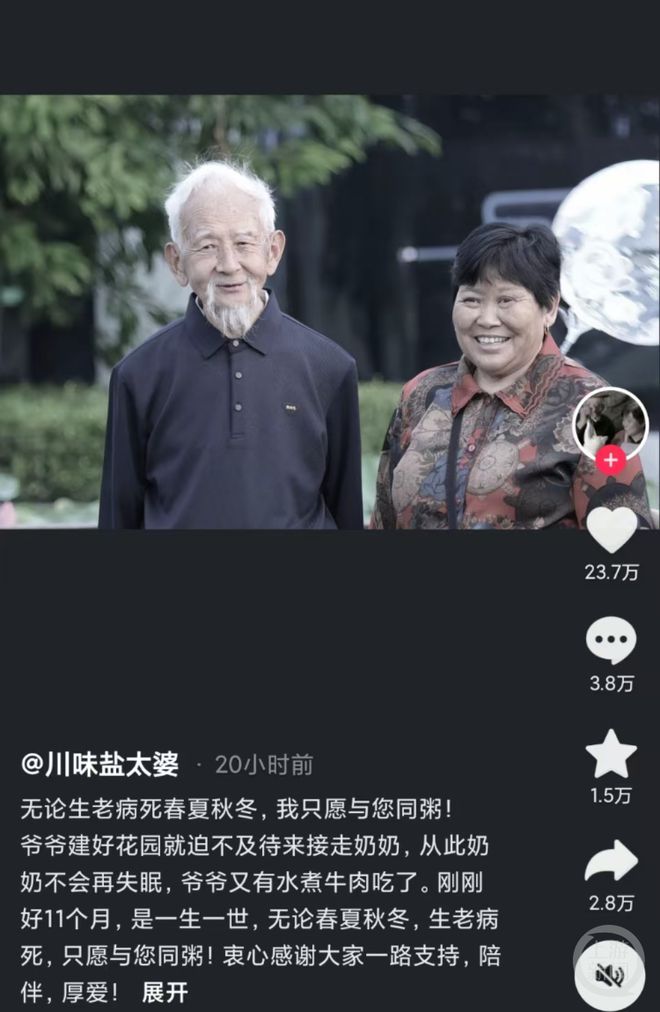 辳村美食眡頻博主“川味鹽太婆”意外離世，網(wǎng)友哀悼