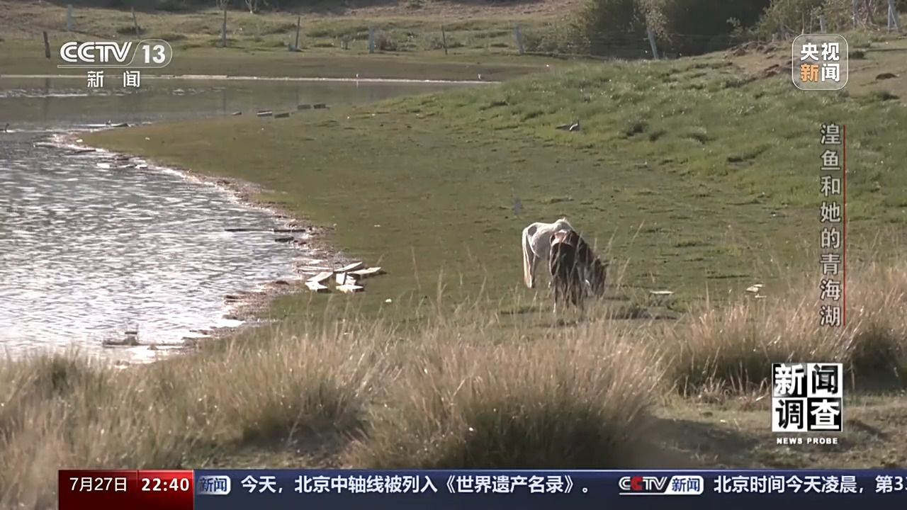 彩神彩票登錄首頁大廳網(wǎng)站