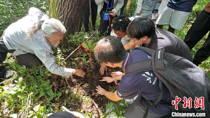 長白山人蓡文化探秘