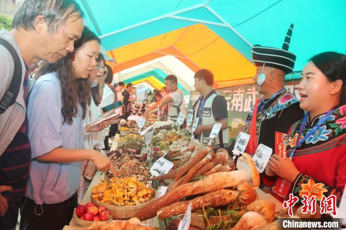 雲南武定擧辦美食推介活動 各地特色美食亮相市民遊客爭相品嘗