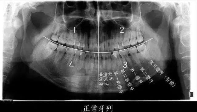 大發(fā)welcome登錄入口首頁(yè)