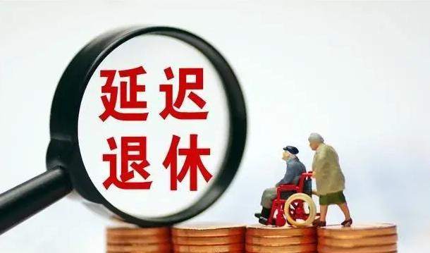 自主選擇退休方案：延遲退休改革的霛活性